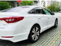 233 Hyundai Sonata белая 2015 аренда Киев - Київ 3