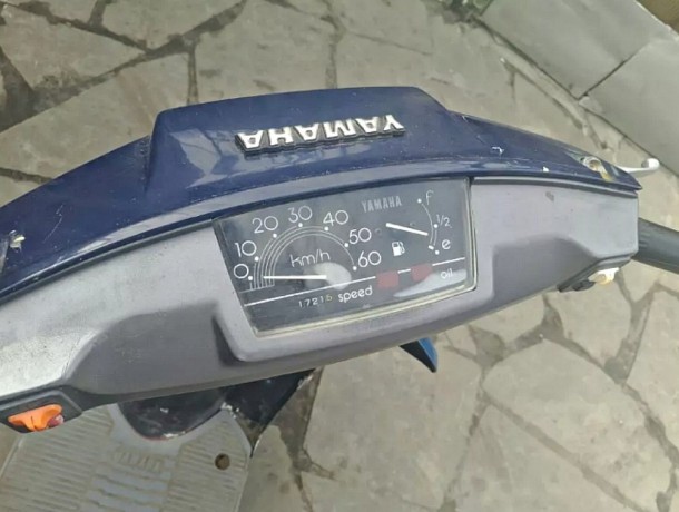 Yamaha MINT - Зміїв 3