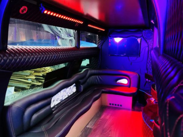 027 Лимузин Ford F-650 Limo прокат - Киев 6